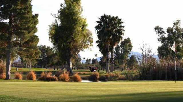 Toka Sticks Golf Club
