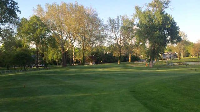 Steve Hogan GC