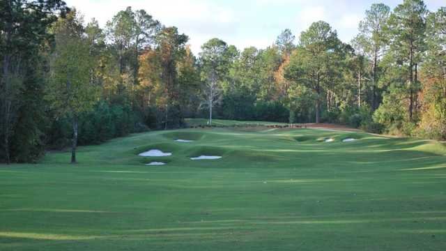 Rayburn Resort and Marina
