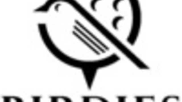 Birdies Indoor Golf
