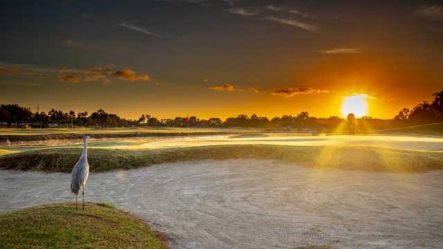 Remington Golf Club