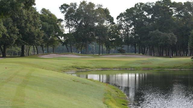 Arcadian Shores