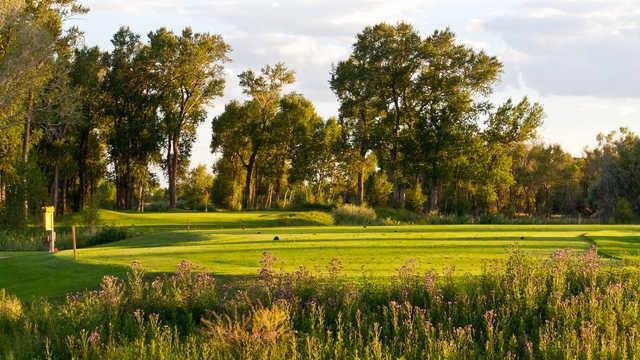Cattails Golf Club