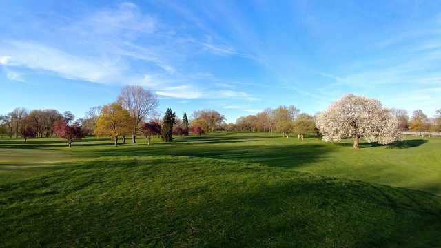 Maple Lane C (East)